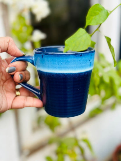 TRAY, MUGS & JARS COMBO